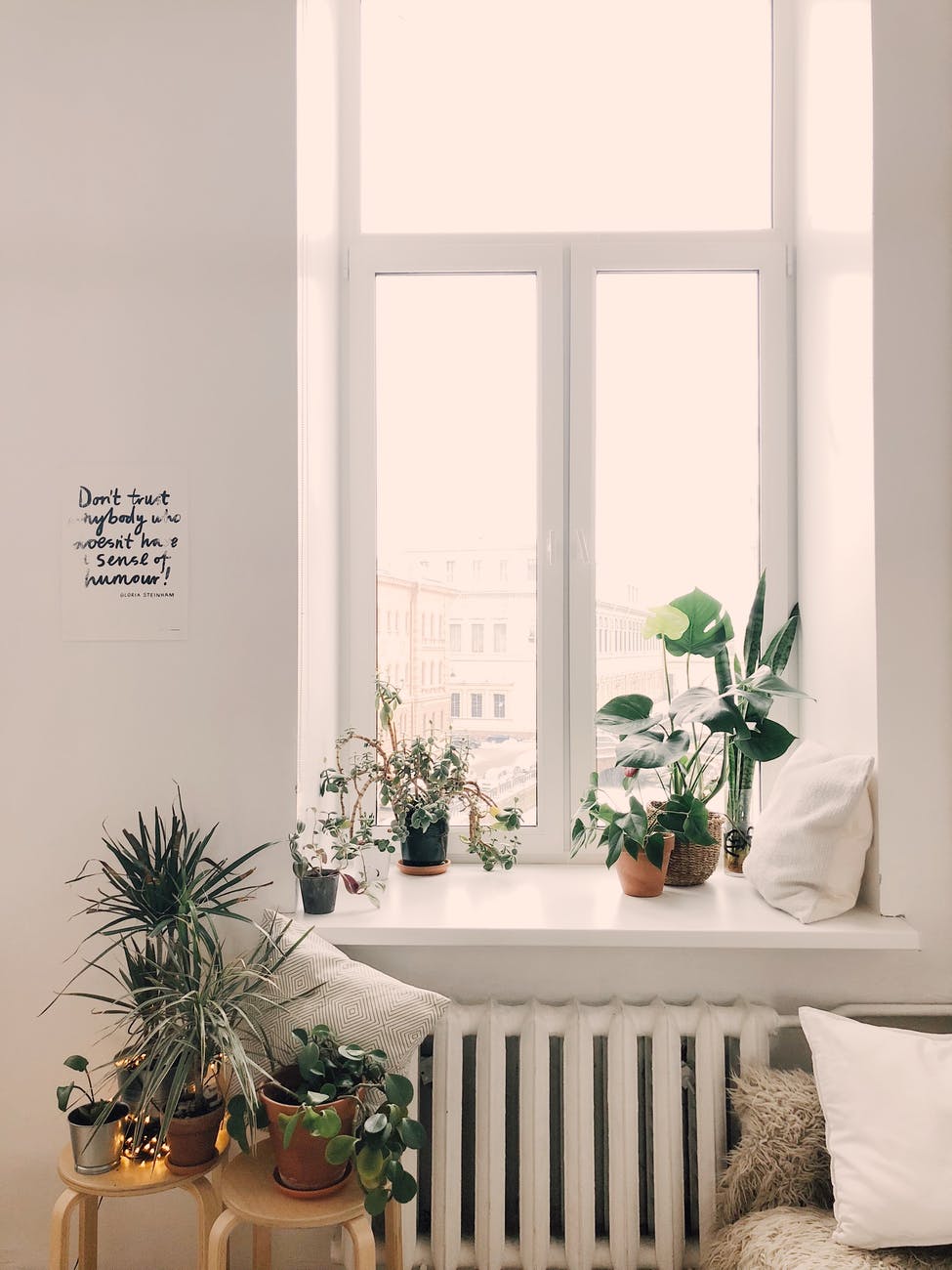 spring cleaning tips_photo of green leaf potted plants on window and stand